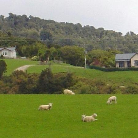 Hilltop Accommodation Catlins Papatowai ภายนอก รูปภาพ