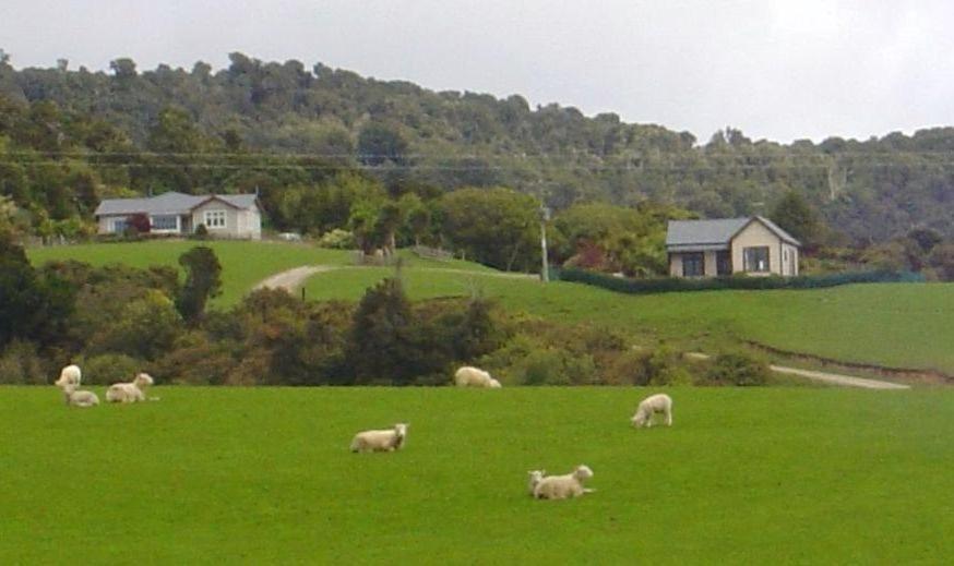 Hilltop Accommodation Catlins Papatowai ภายนอก รูปภาพ