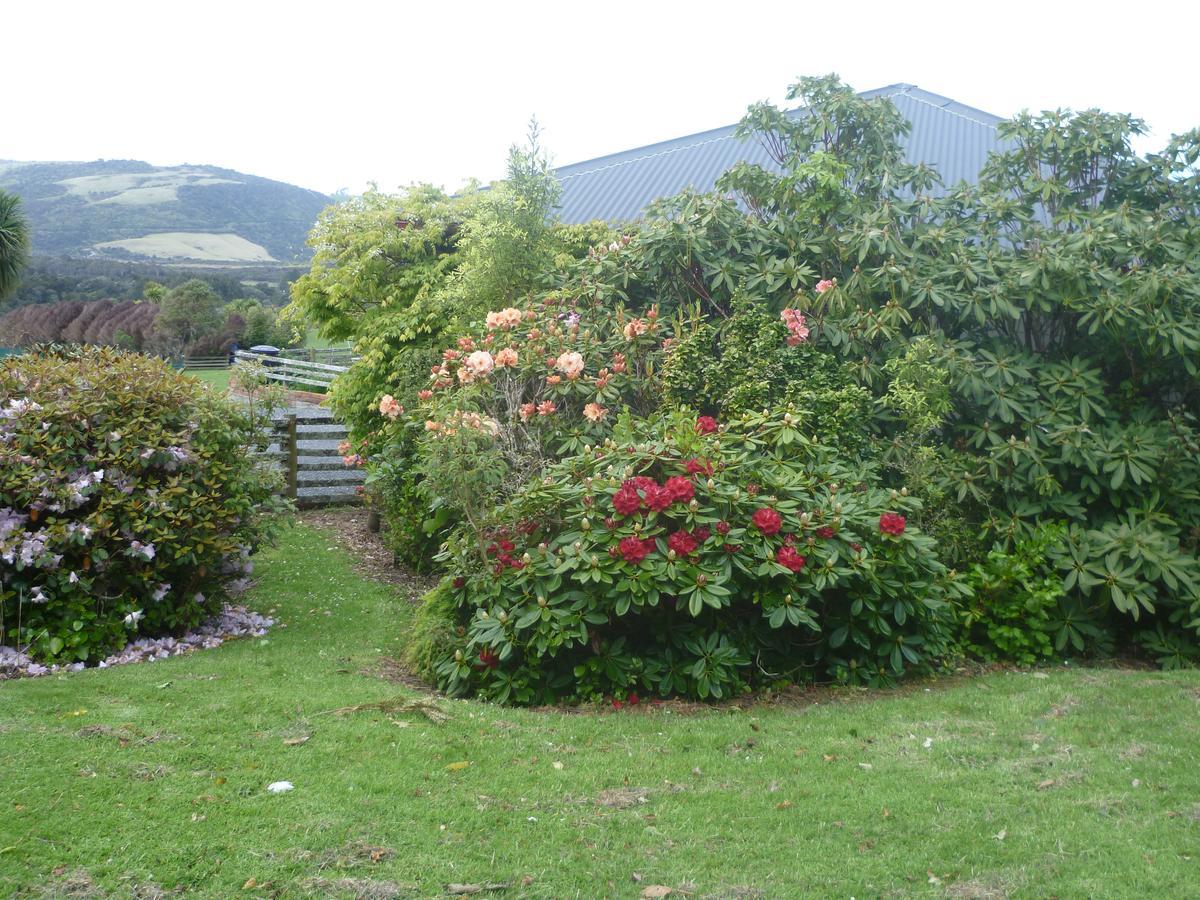 Hilltop Accommodation Catlins Papatowai ภายนอก รูปภาพ