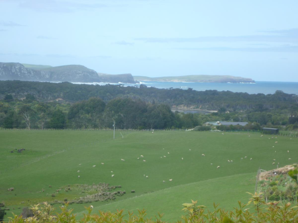 Hilltop Accommodation Catlins Papatowai ภายนอก รูปภาพ