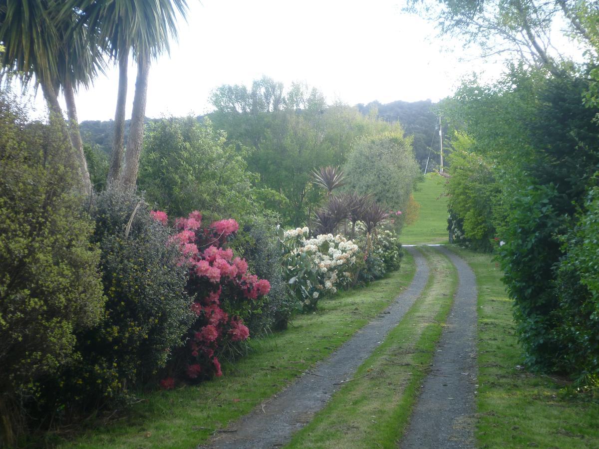 Hilltop Accommodation Catlins Papatowai ภายนอก รูปภาพ